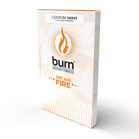 Заказать Табак Burn 100г Lemon Mint М