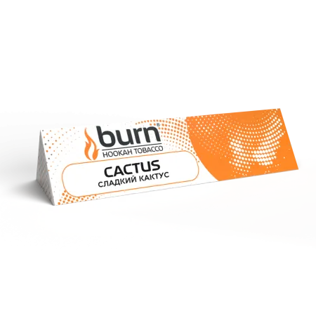 Приобрести Табак Burn 25г Cactus М